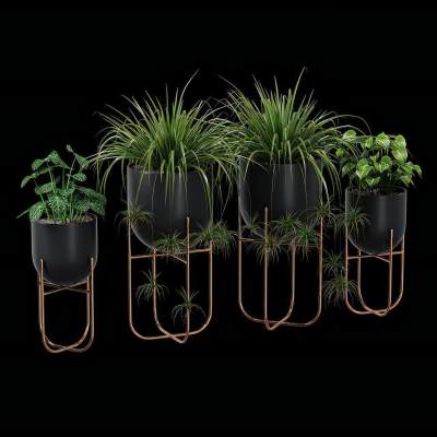 现代绿植盆栽 植物绿植挂件 置物架